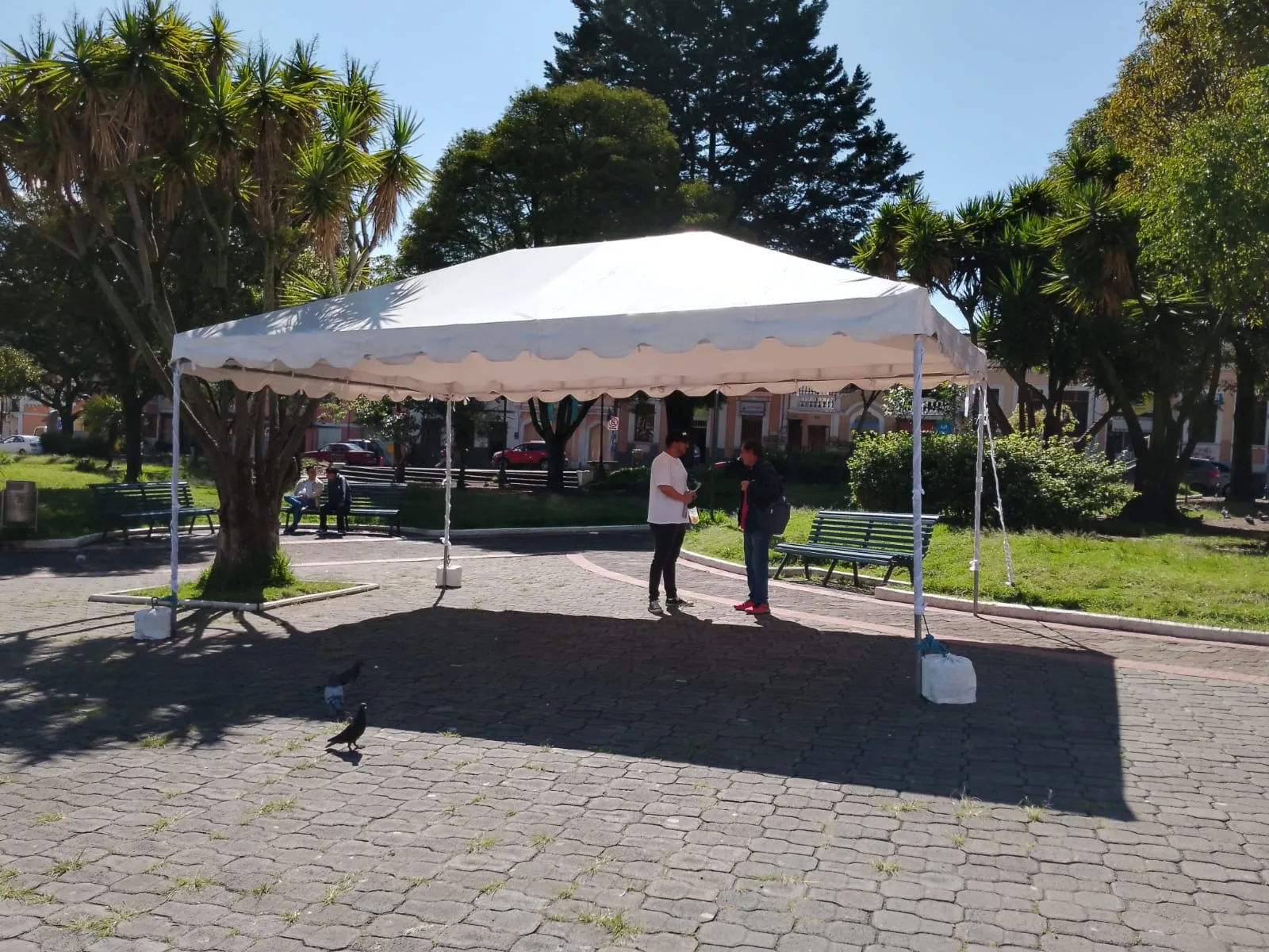 Carpa instalada para evento